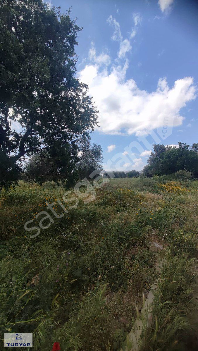 GAZİEMİR TURYAPTAN MENDERES MERKEZDE İMARLI ARSA