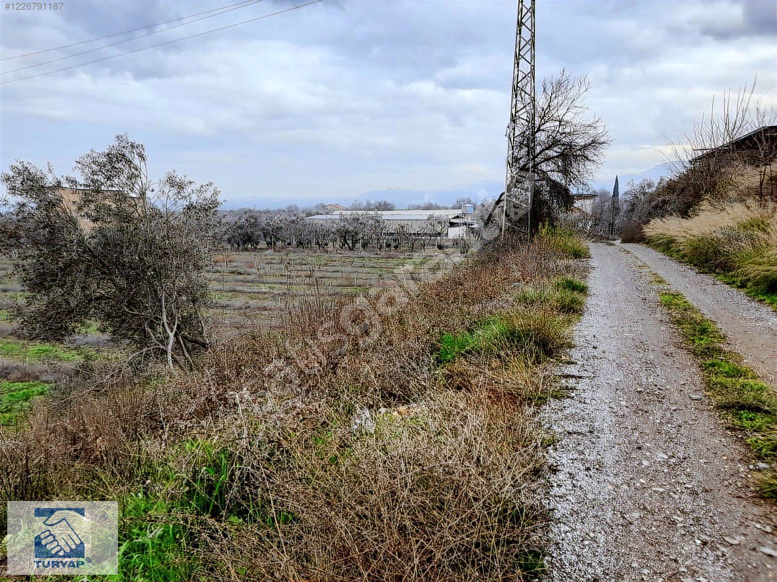 Kemalpaşa Bağyurdu Satılık İmar Sınırına Yakın 4500 m2 Arazi