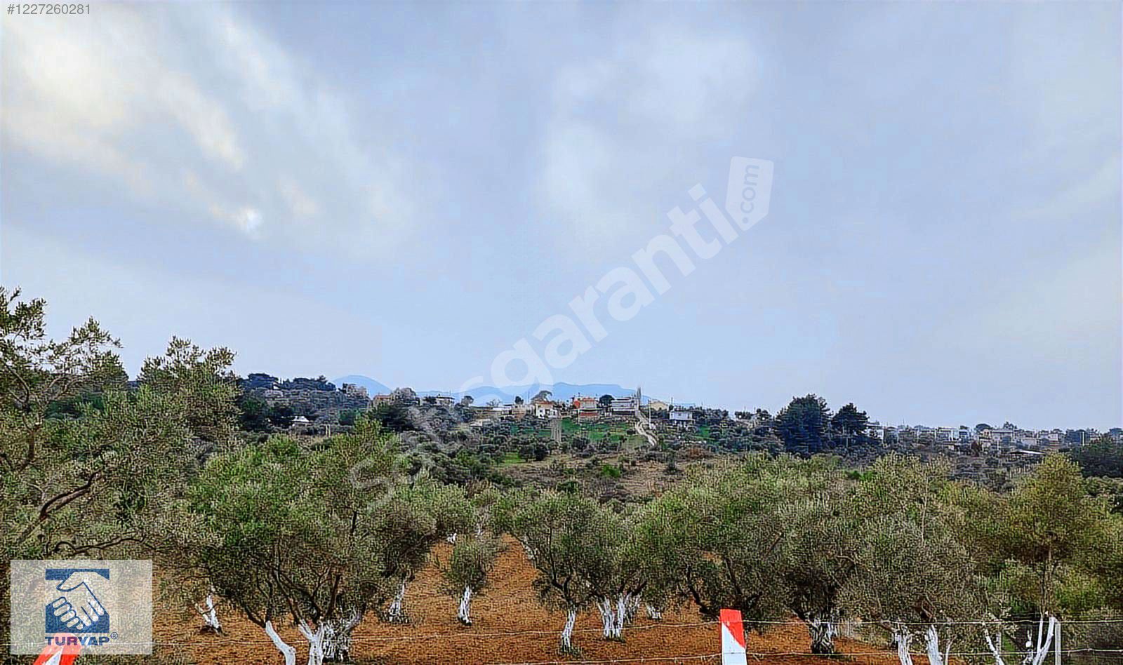 Kemalpaşa Aşağı Kızılca Satılık 3.951 m² Tarla