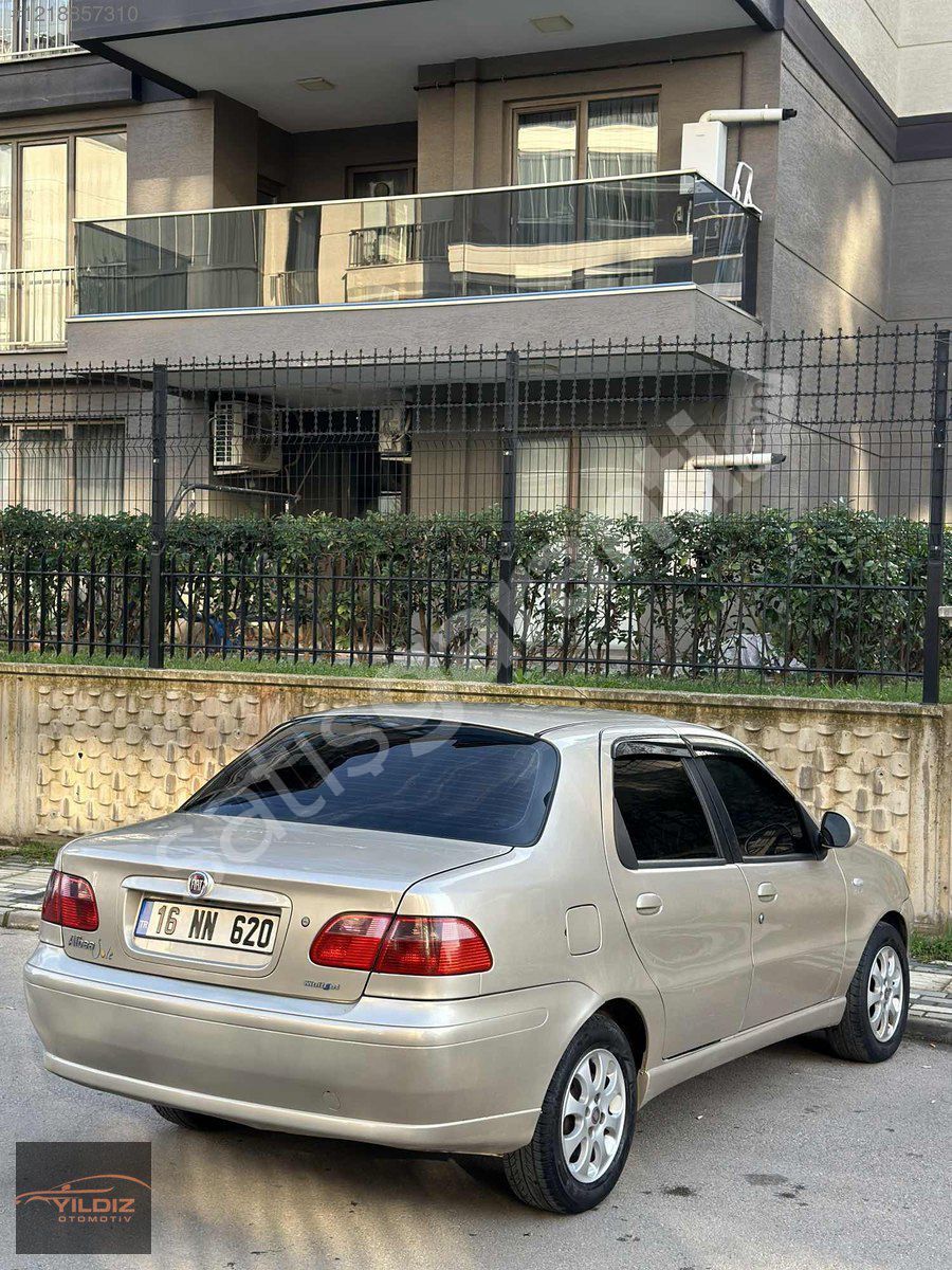 2011 Albea sole