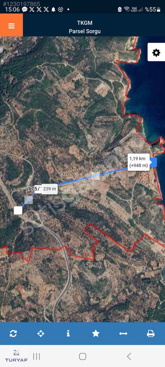 Karaburun Ambarseki'de Zeytin Ağaçlı Tarla,