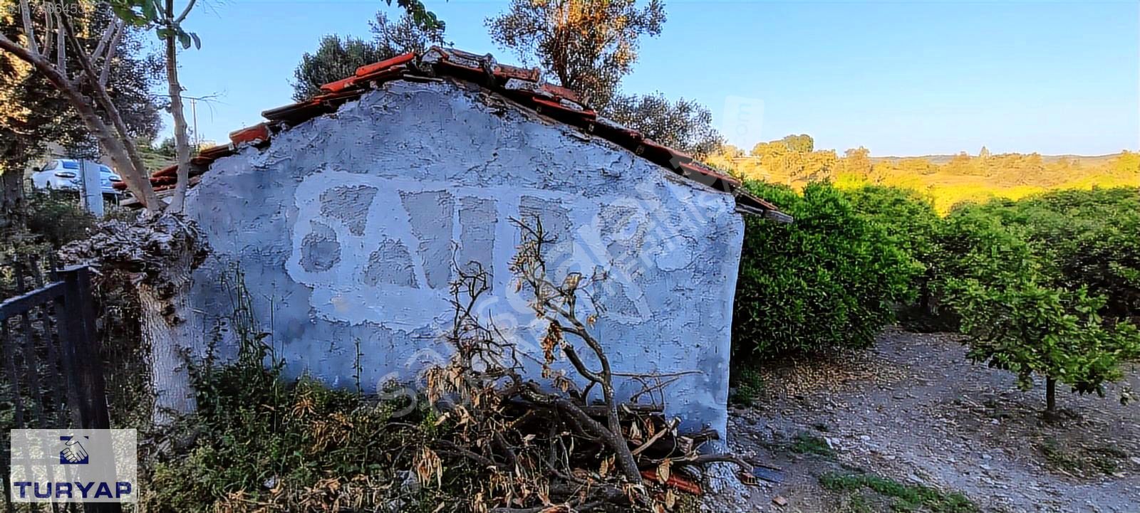 SEFERİHİSAR TURYAP'TAN SIGACIKTA 8612 M NARENCİYE BAHÇESİ