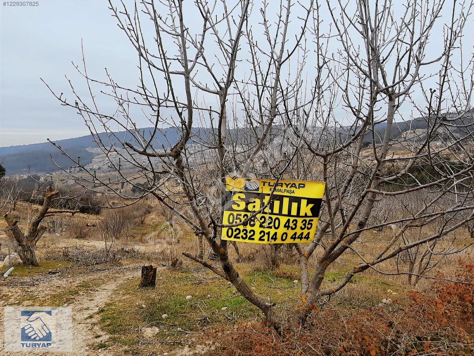 KEMALPAŞA DAMLACIK'TA YATIRIMLIK KİRAZ BAHÇESİ