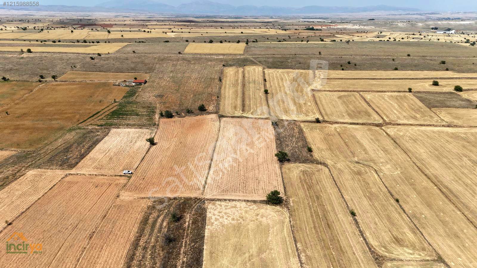 DAZKIRIDA YOLA 230 METRE DÜZ ZEMİN EĞİMSİZ ARAZİ