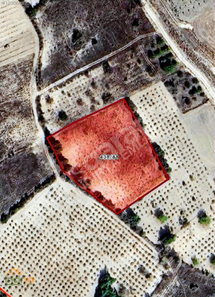 İNCİRYADAN BAKLAN BOĞAZİÇİNDE YOLU OLAN ULAŞIMI KOLAY 5.750m2