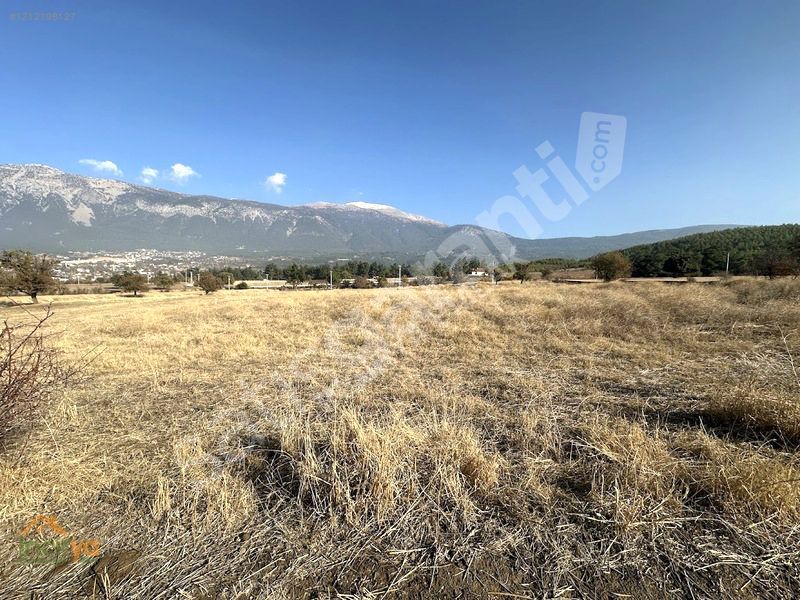 İNCİRYA EMLAKDAN CANKURTARAN MAHALLESİNDE 9.000m2 ARAZİ