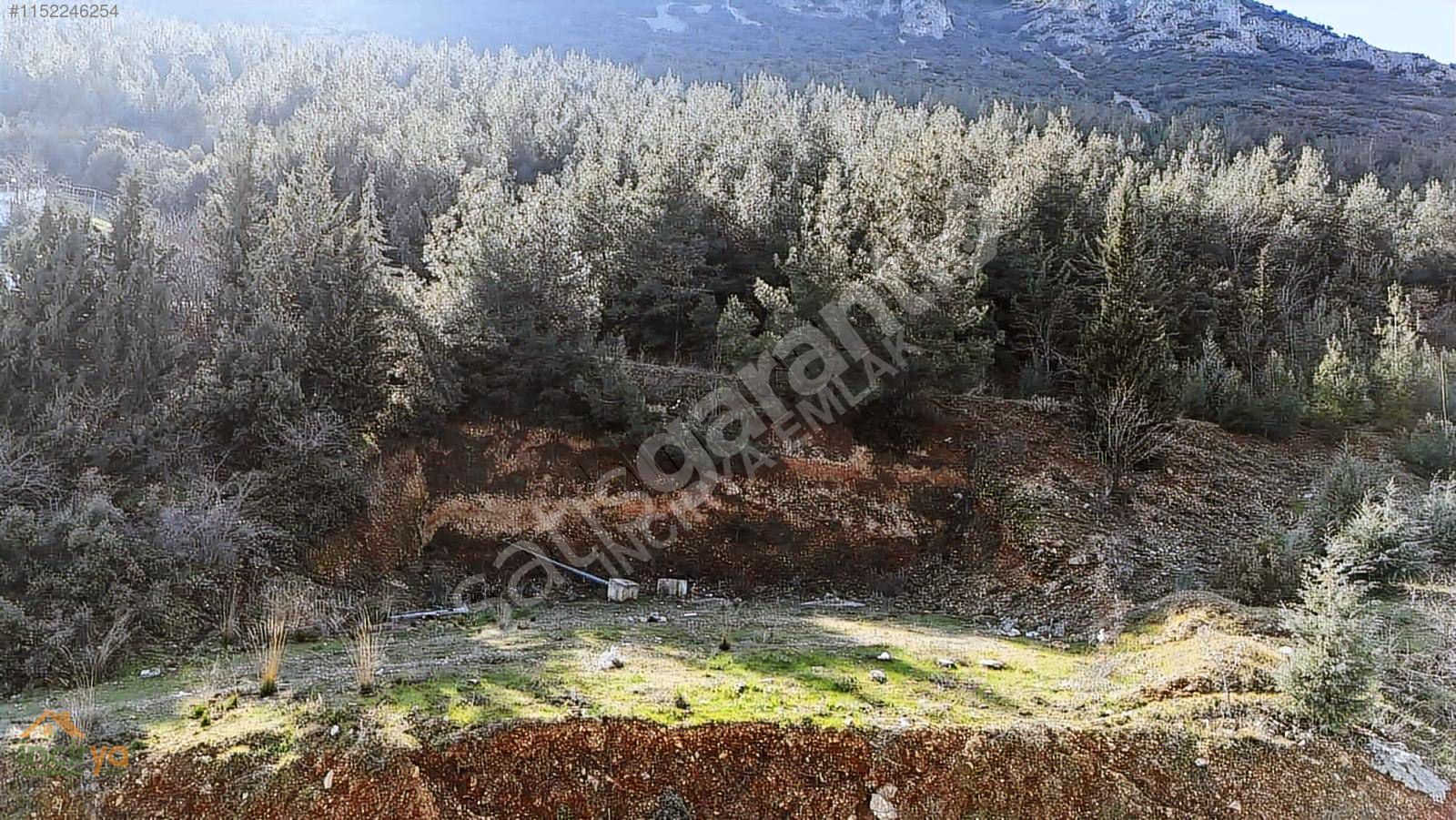 İNCİRYA EMLAK'TAN ZEYTİNKÖY MH 280 M² B+2 MÜSTAKİL SATILIK ARSA