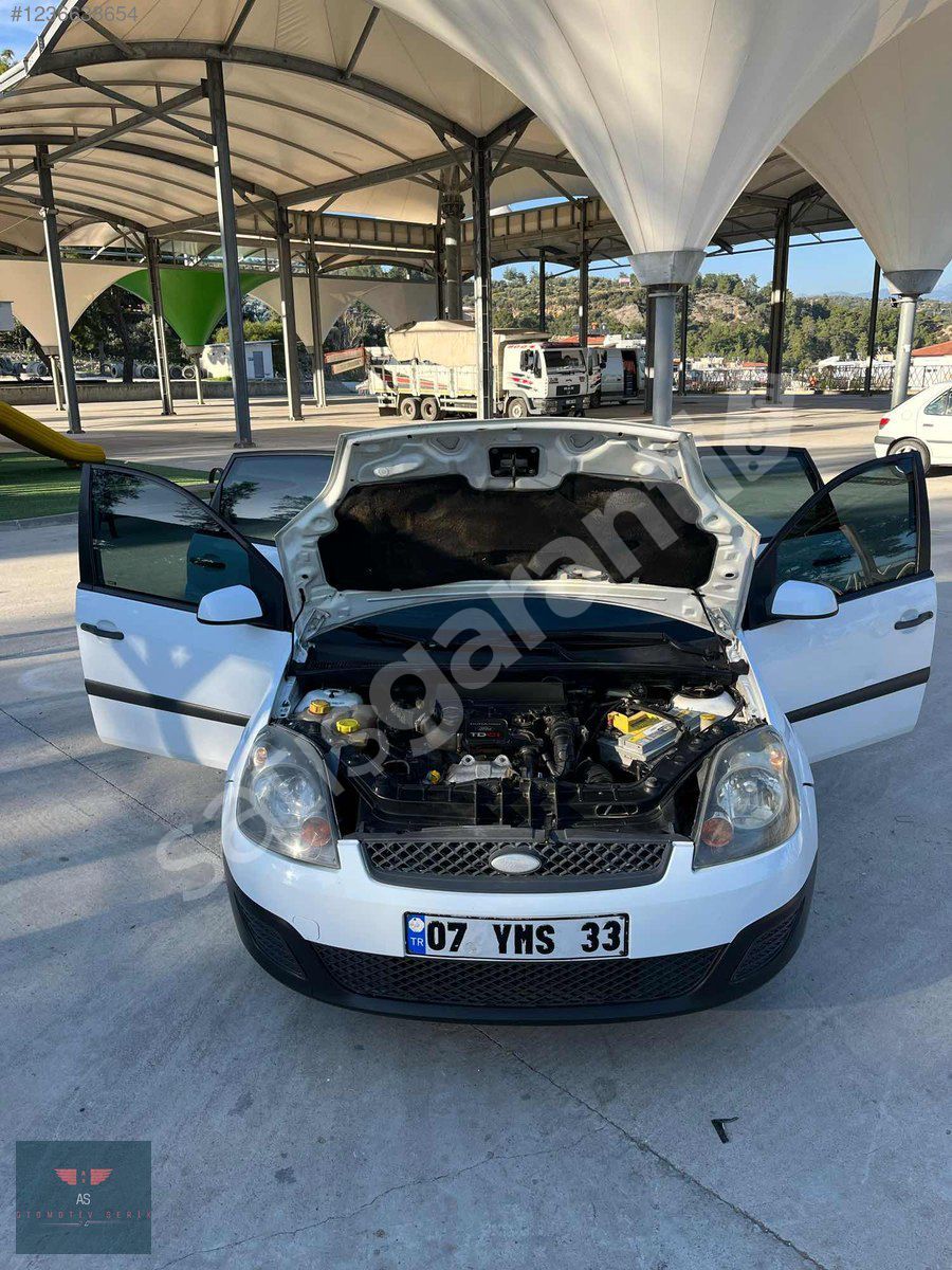 Hatasız fiesta