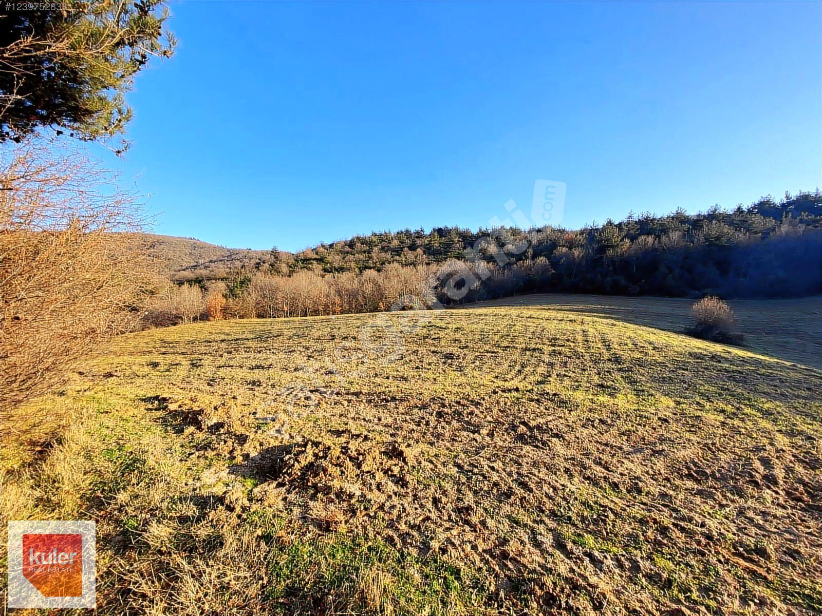 ÇANAKKALE LAPSEKİ'DE 10.950 m² SATILIK TARLA