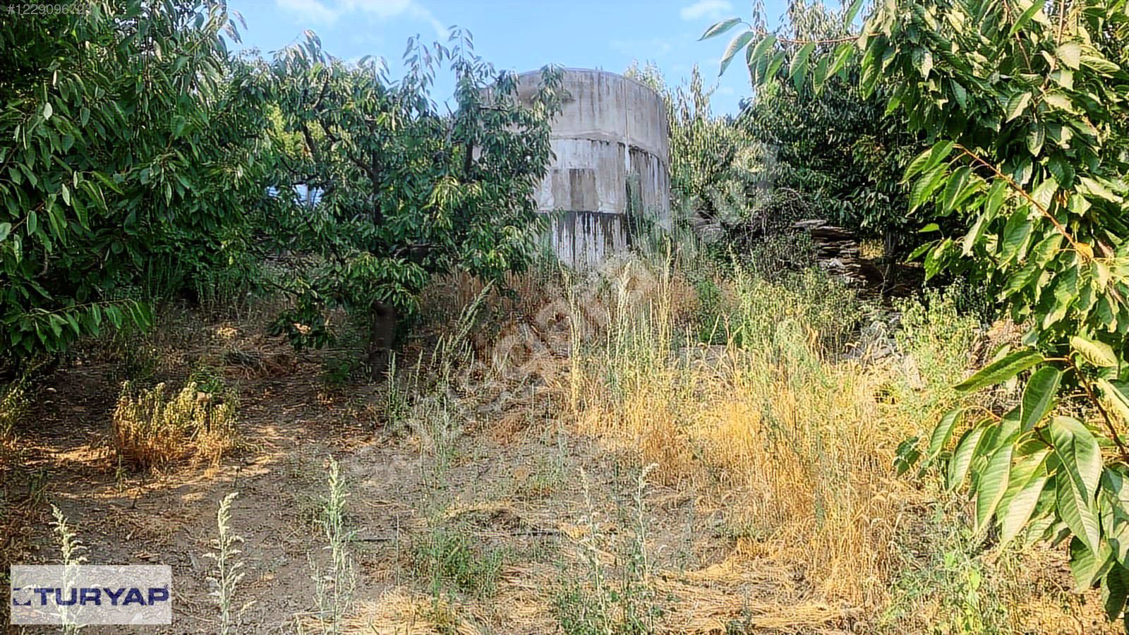 BAYINDIR / KIZILOBA'DA 6,522 M2 SATILIK BAHÇE