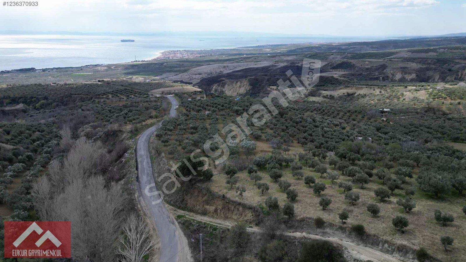 FULL DENİZ MANZARALI ASVALTA CEPHE ZEYTİNLİK