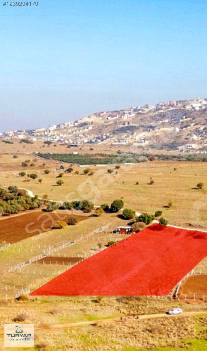 Foça Bağarası Mahallesi'nde Satılık Tarla