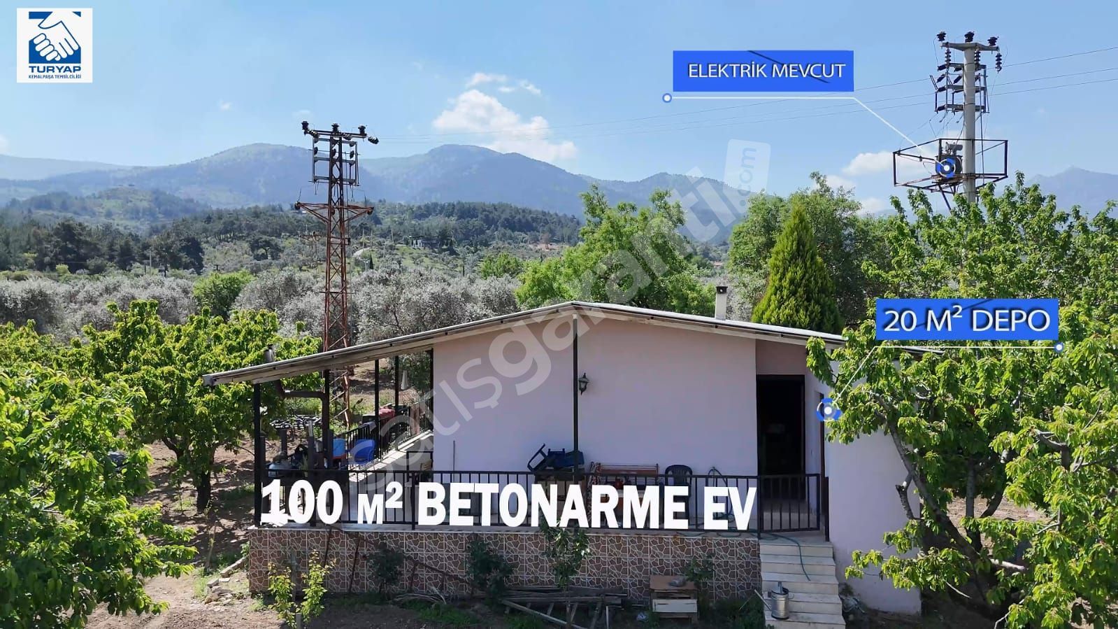 Kemalpaşa Bağyurdu 11500 m2 Satılık Kiraz Bahçesi