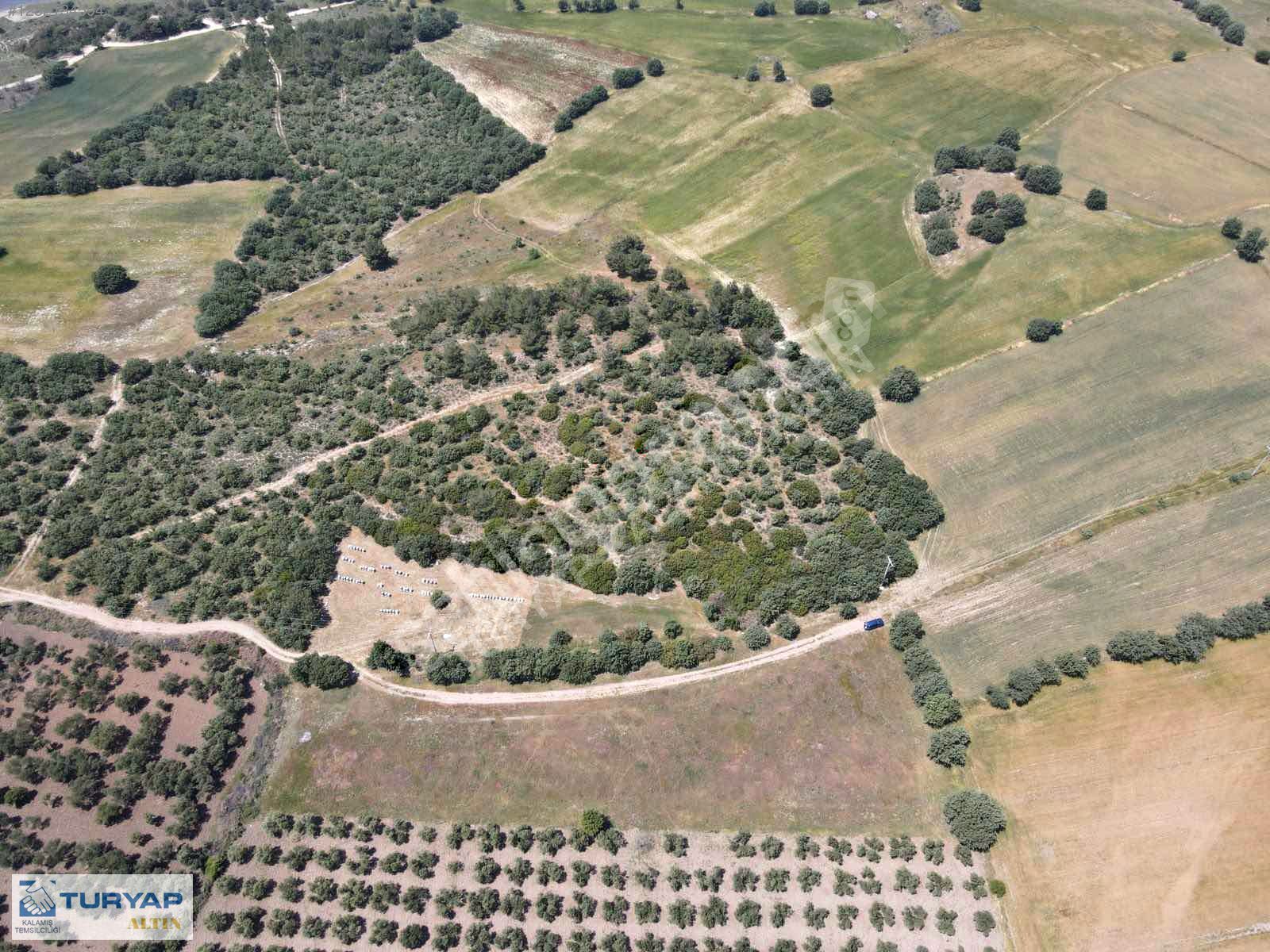 ÇANAKKALE EZİNE AKTAŞ KOYUNDA SATILIK 3.970M2 ARSA
