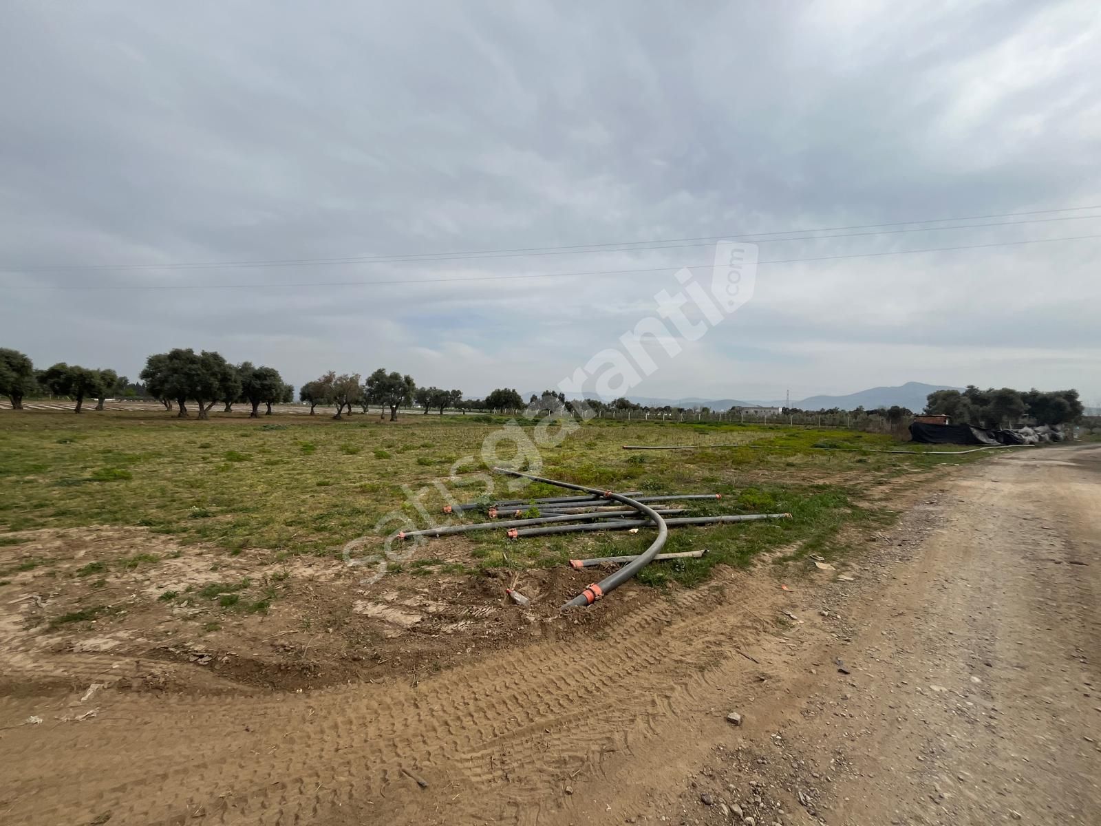 TORBALI EĞERCİ MAHALLESİ  MÜSTAKİL PARSEL 2570 M2 TARLA BAĞ