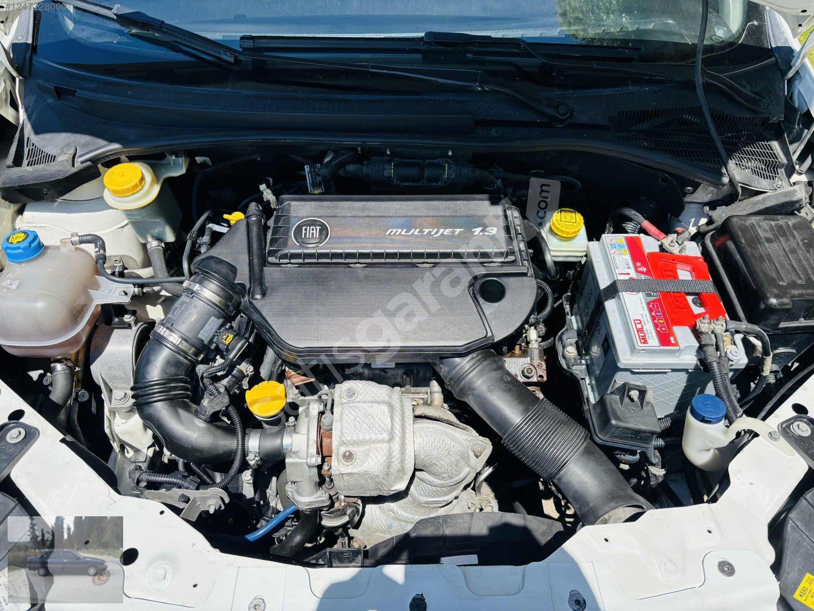 Tertemiz linea 1.3