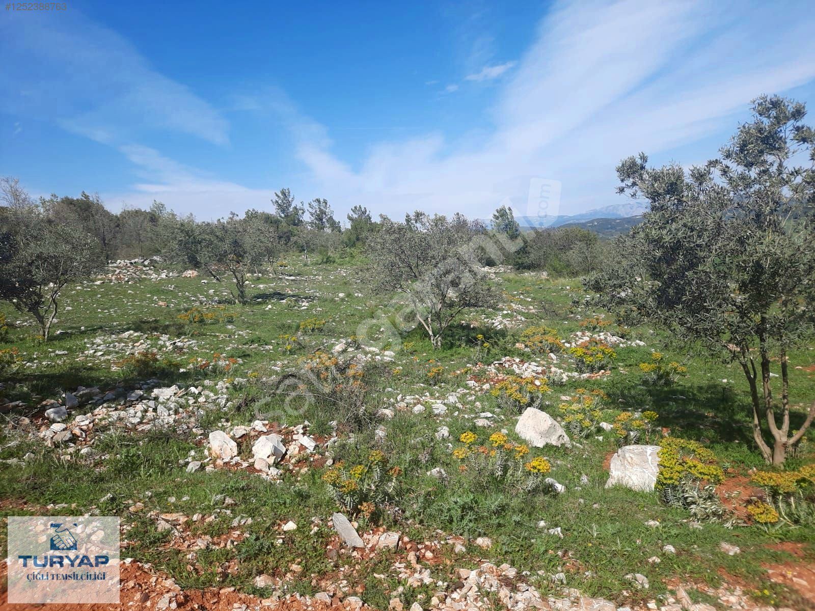 Muğla Menteşe Yenibağyaka Mahallesi'nde Satılık Tarla