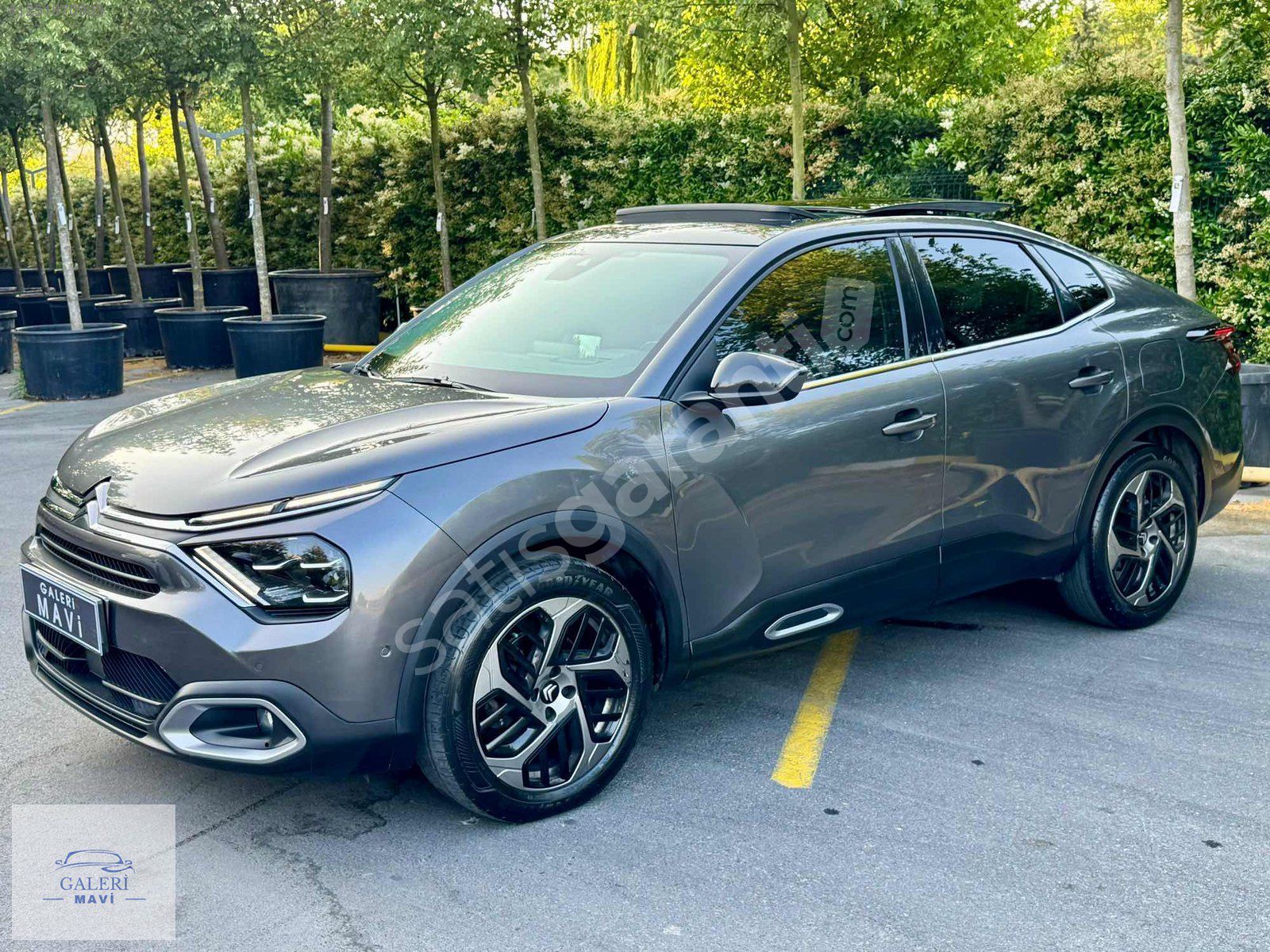 GALERİ MAVİ'DEN 2023 HATASIZ BOYASIZ 1.2 PURETECH SHİNE BOLD