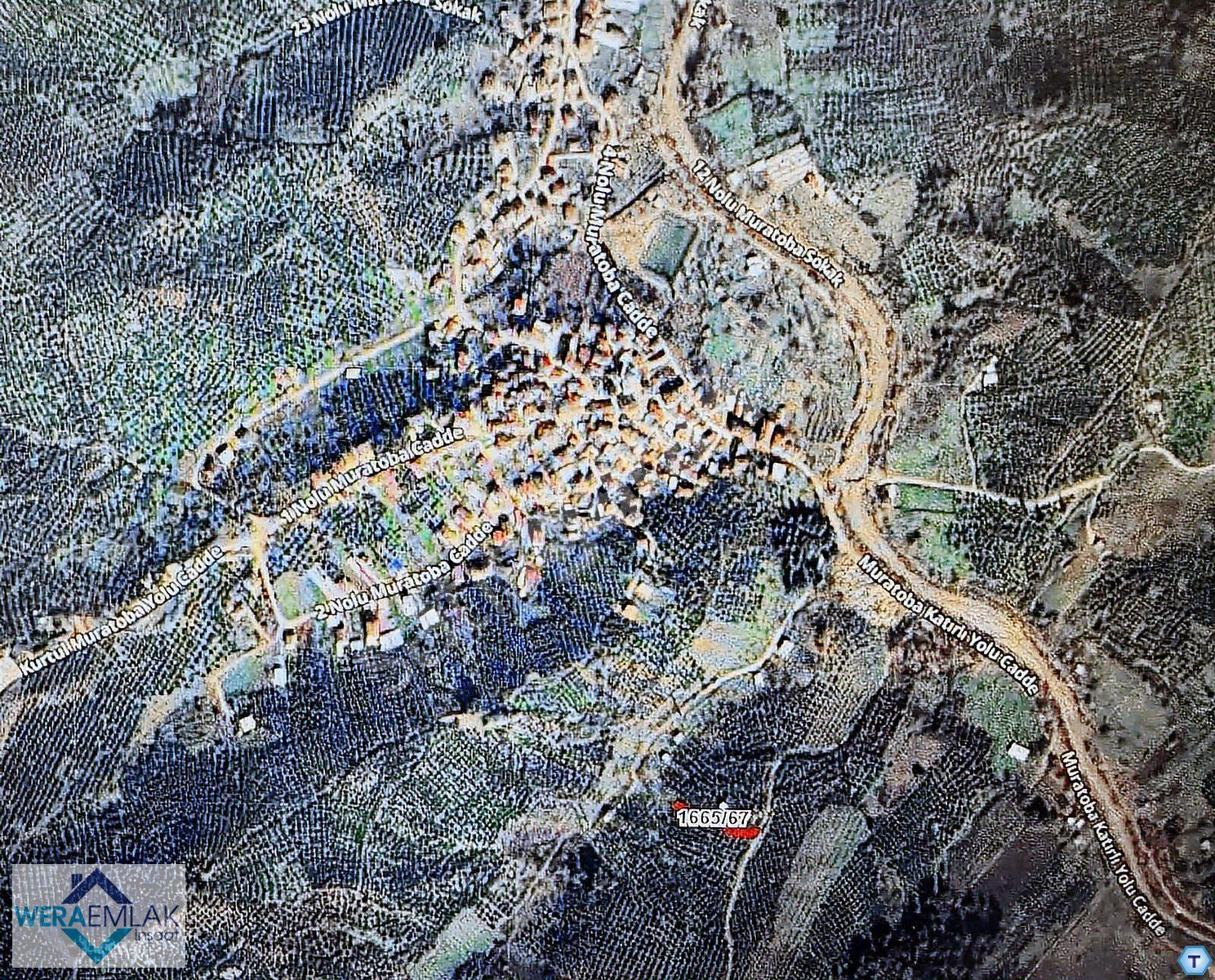 WERA'DAN SATILIK BURSA GEMLİK YOLU OLAN KÖY İÇİ ZEYTİNLİK