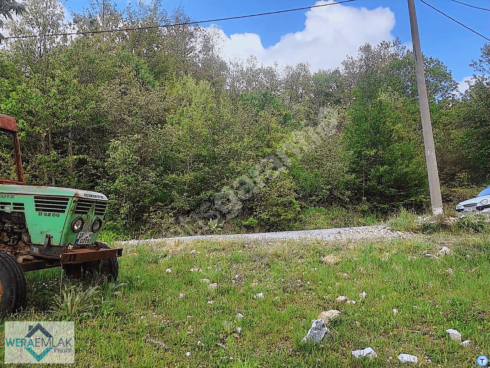 BURSA İZNİK ELMALI KÖYÜNDE İMARLI 1380 M2 BAHÇE