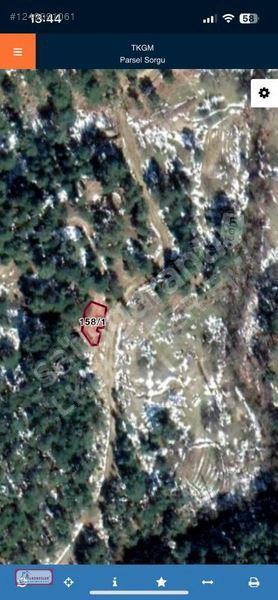 BALIKESİR BURHANİYE AVUNDUK BÖLGESİNDE SATILIK YAYLA BAHÇESİ