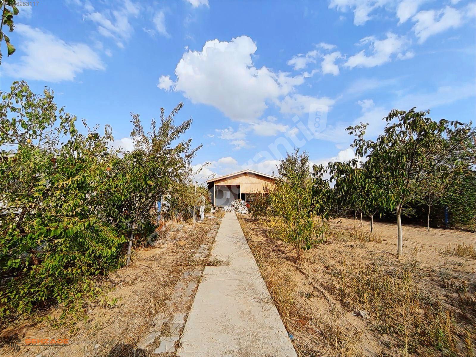 ŞEHZADE'DEN AYDINCIK KÖY İÇİNDE 1+1 EVLİ! 980 M2 ÇEVRİLİ AĞAÇLI