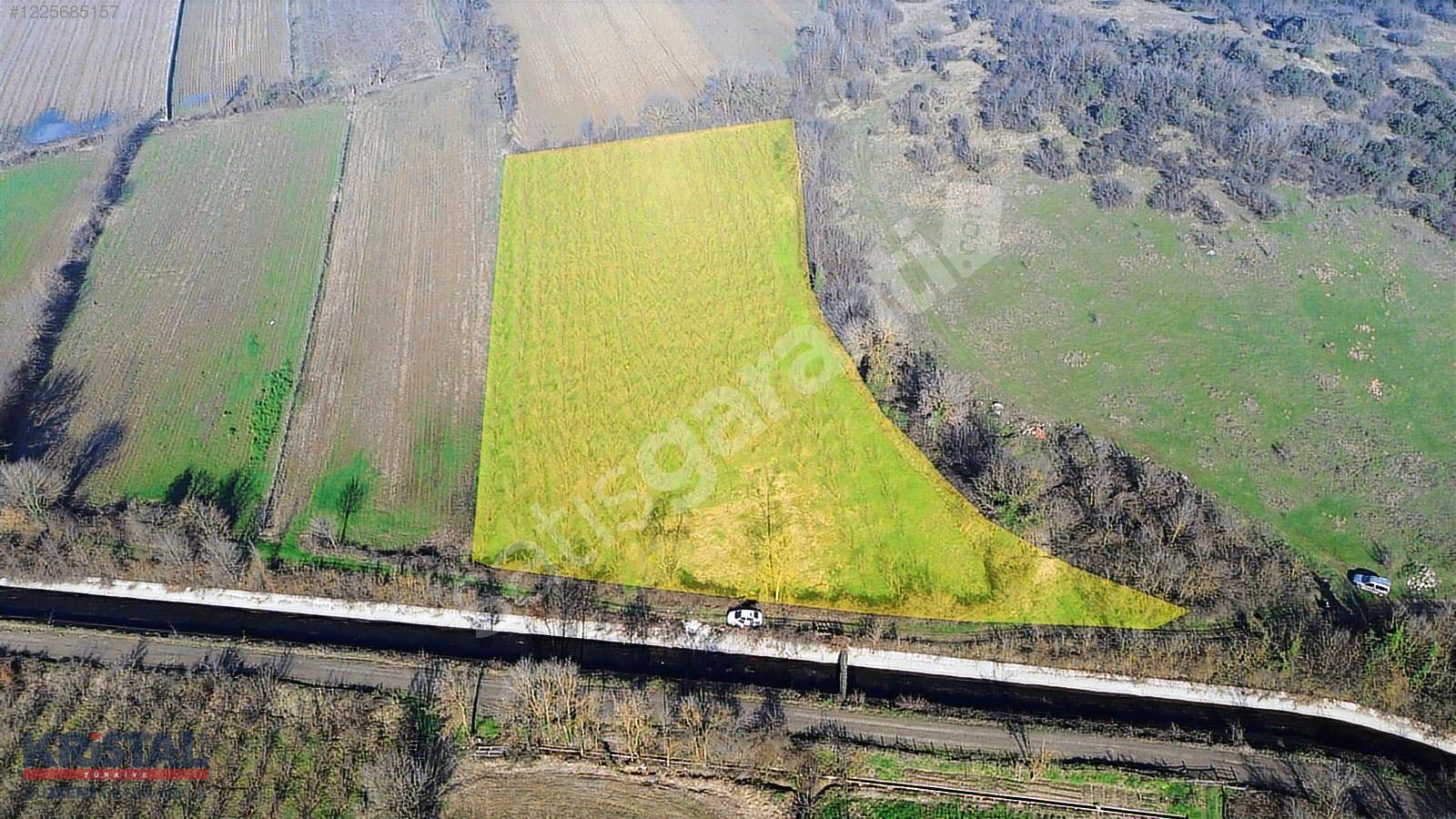 DÜZKENT' DEN DÜZCE AYNALI DA SATILIK FINDIK TARLASI