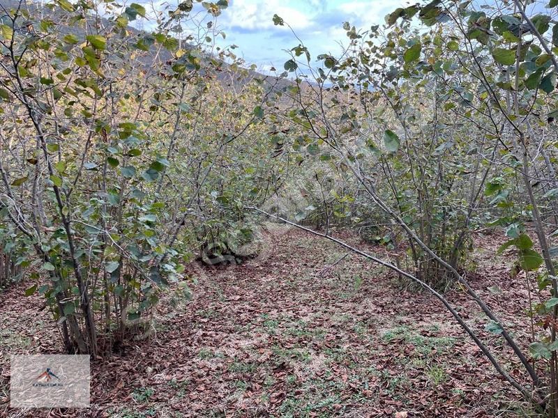 TOPLAM 12450M2 8 DÖNÜMÜ İMARLI PARSEL YAPMAYA UYGUN SATILIK ARSA