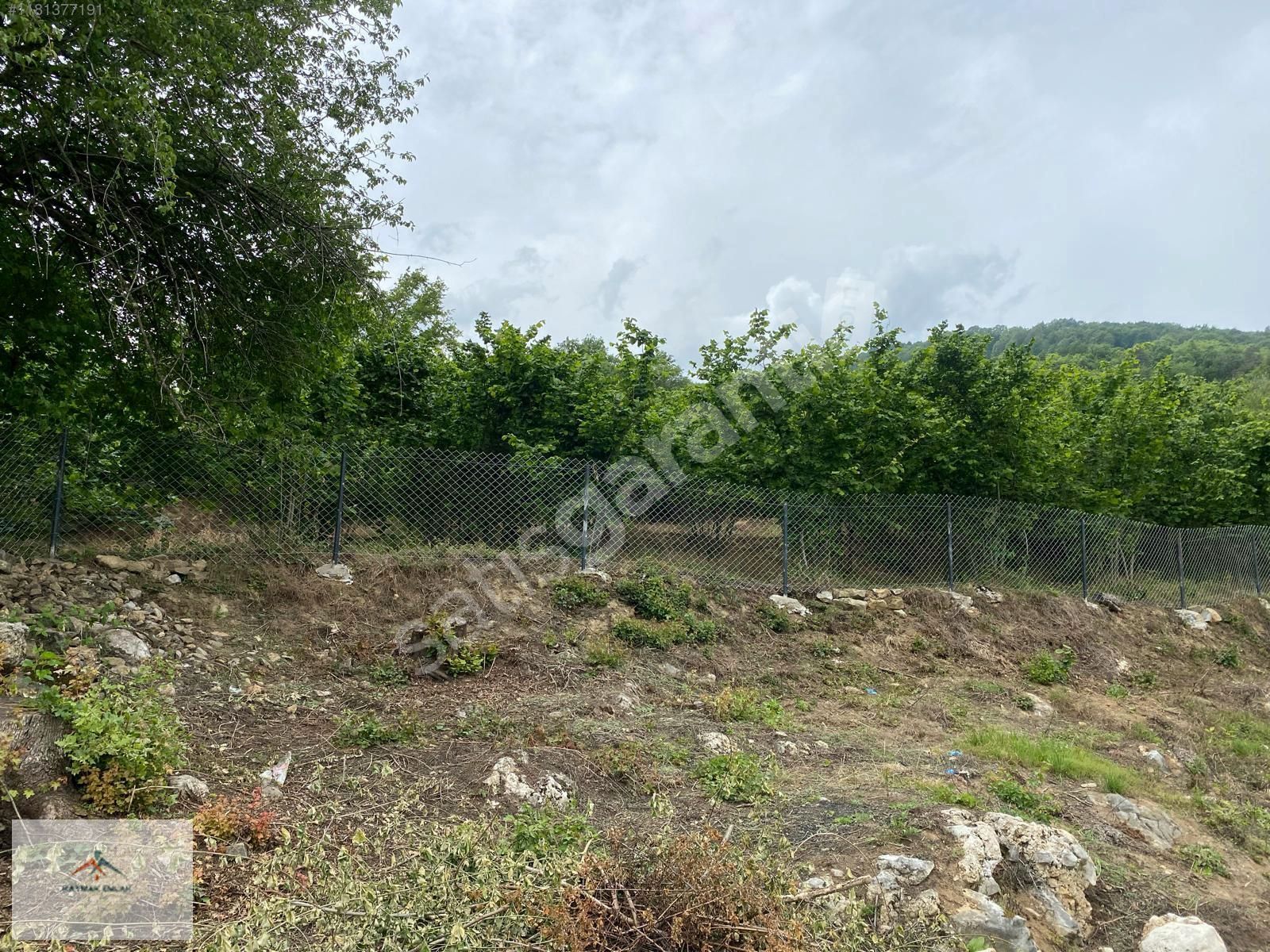 DOĞASI VE HARİKA MANZARASI İLE SATILIK FINDIK BAHCESİ