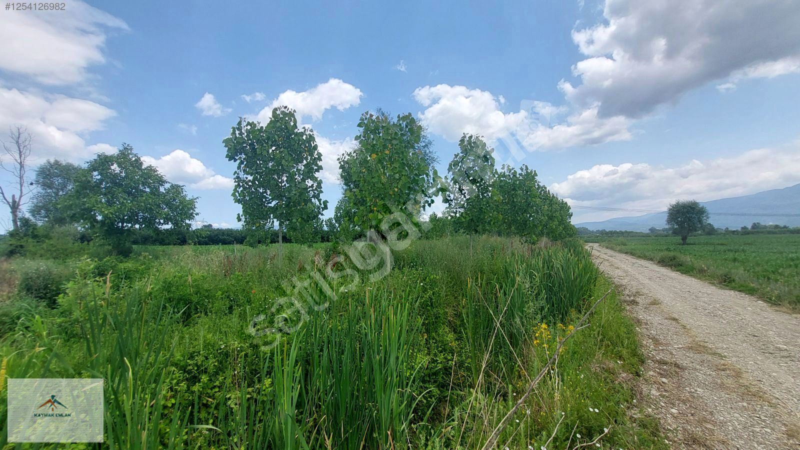 ELEKTİRİĞE,SUYA 50METRE MESAFEDE YOL CEPHELİ SATILIK ARAZİ