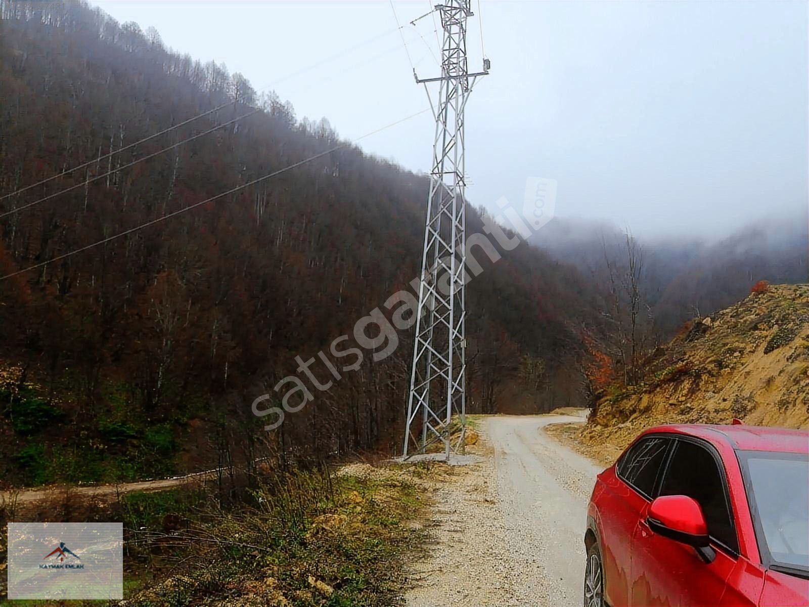 RESMİ YOLU+ELEKTRİK+SU ÖNÜNDEN GECEN MANZARALI FINDIK BAHCESİ