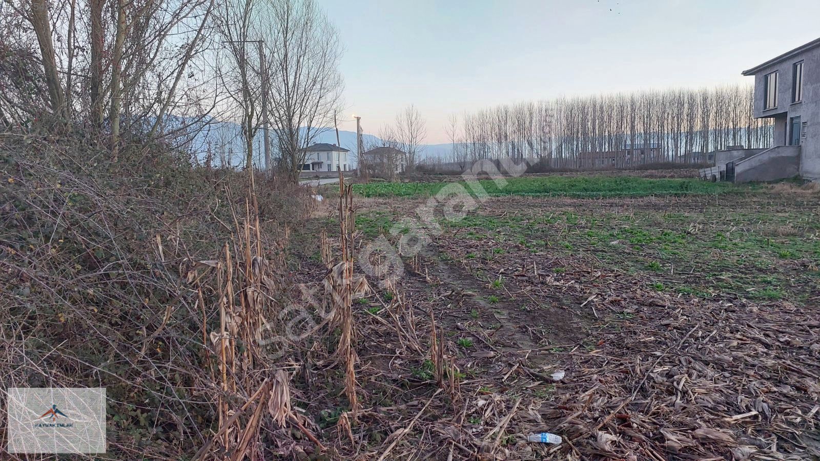 ANAYOL ÜZERİ ELEKTİRİK SU MEVCUT SATILIK ARAZİ