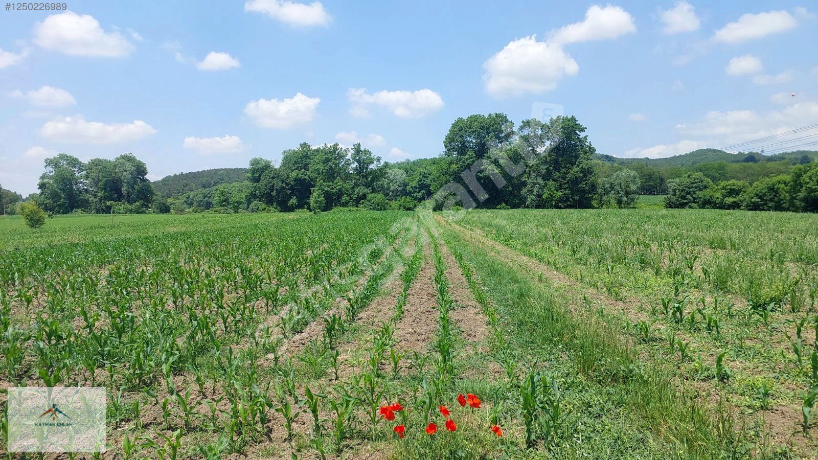 HENDEK ORGANİZE SANAYİ KARŞISI SATILIK ARAZİ