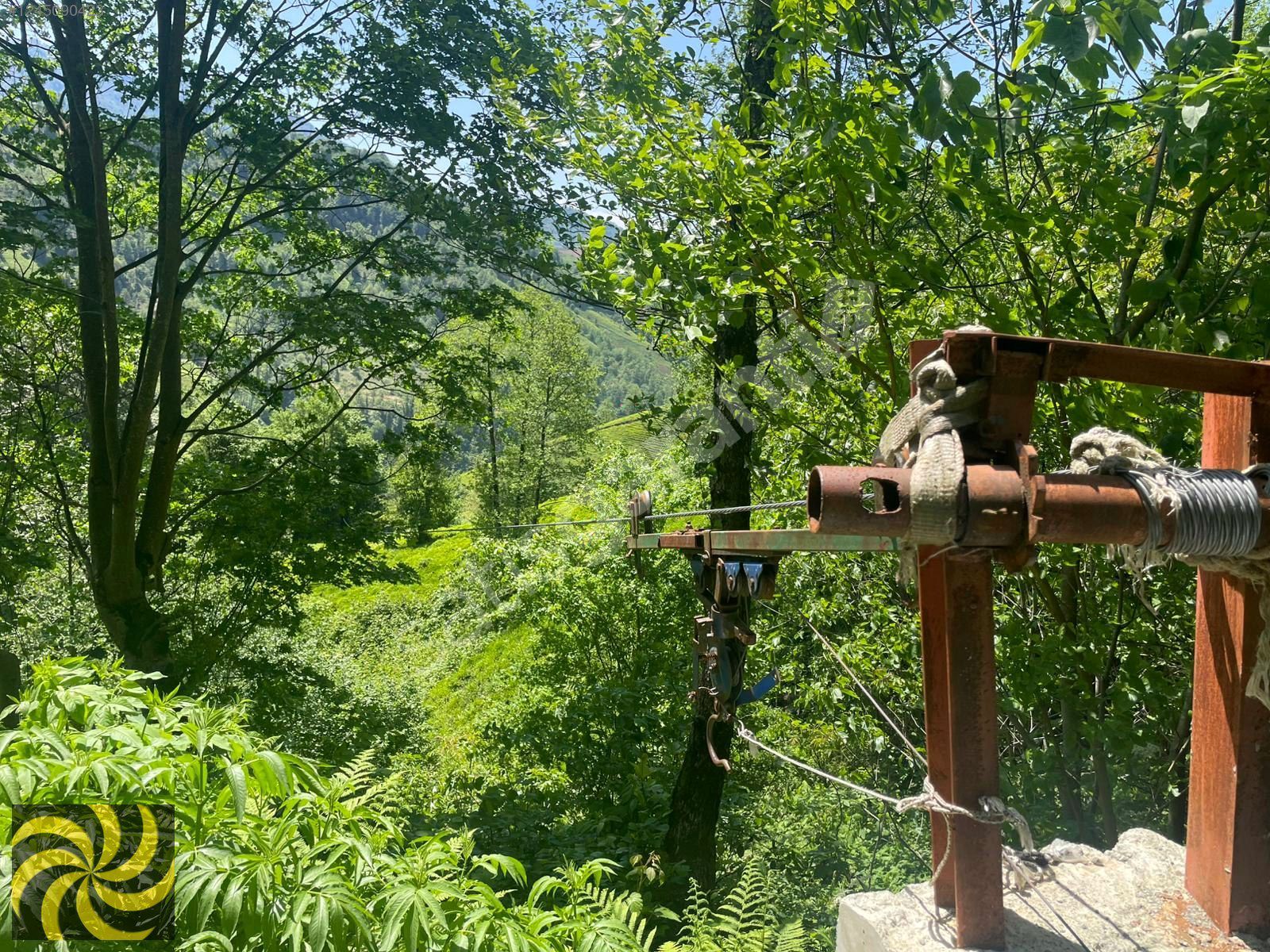 Satılık Çay Bahçesi
