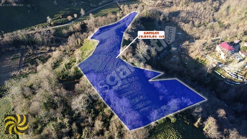 SKANİ İNVEST'TEN ARHAVİ YOLGEÇEN KÖYÜNDE MUHTEŞEM SATILIK ARSA