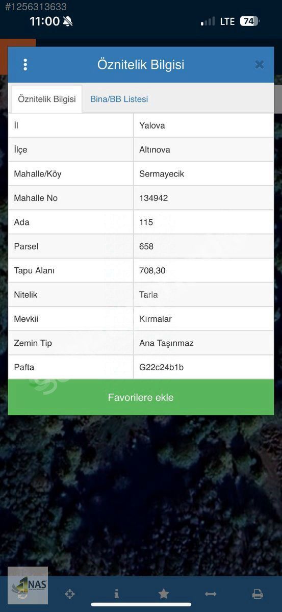 NAS GRUP GAYRİMENKUL'DEN YALOVA ALTINOVA'DA TARLA