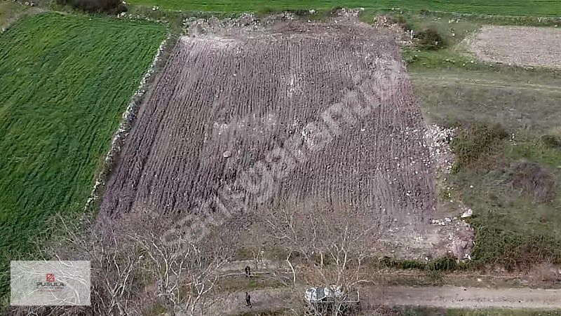 ALTIEYLÜL TAŞKÖY MAHALLESİNDE 2181 M2 TARLA