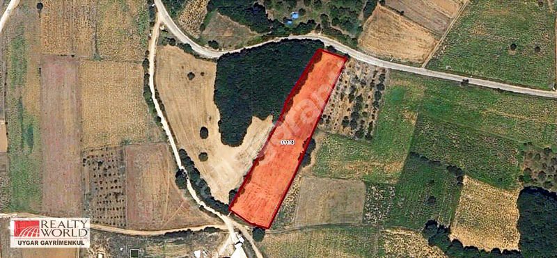 RW UYGARDAN TEKKE KÖYDE SATILIK İKİ YOLA CEPHE 6000m2 TARLA