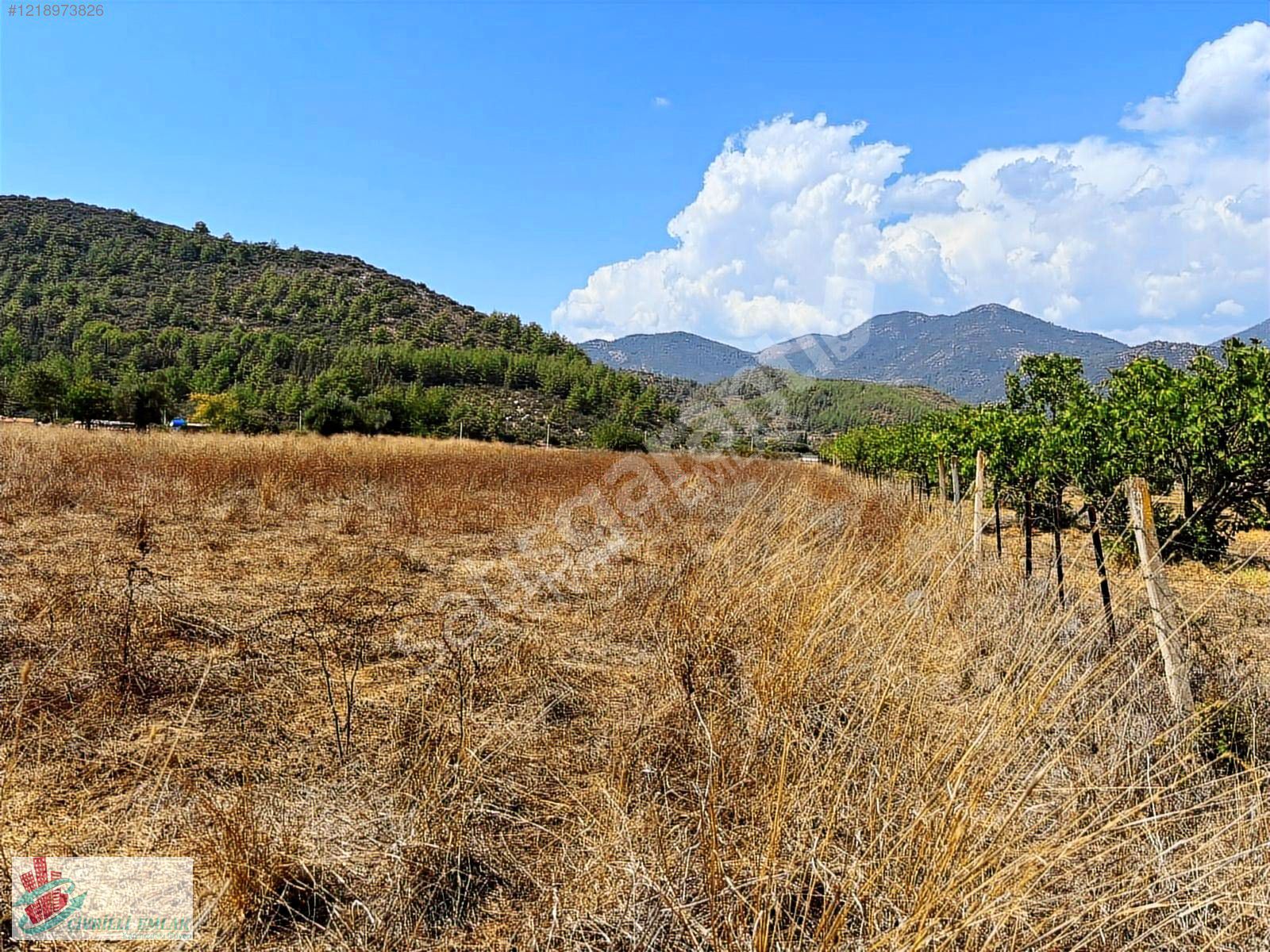 FETHİYE ÜZÜMLÜDE 3300 M2 ARAZİMİZ SATILIKTIR