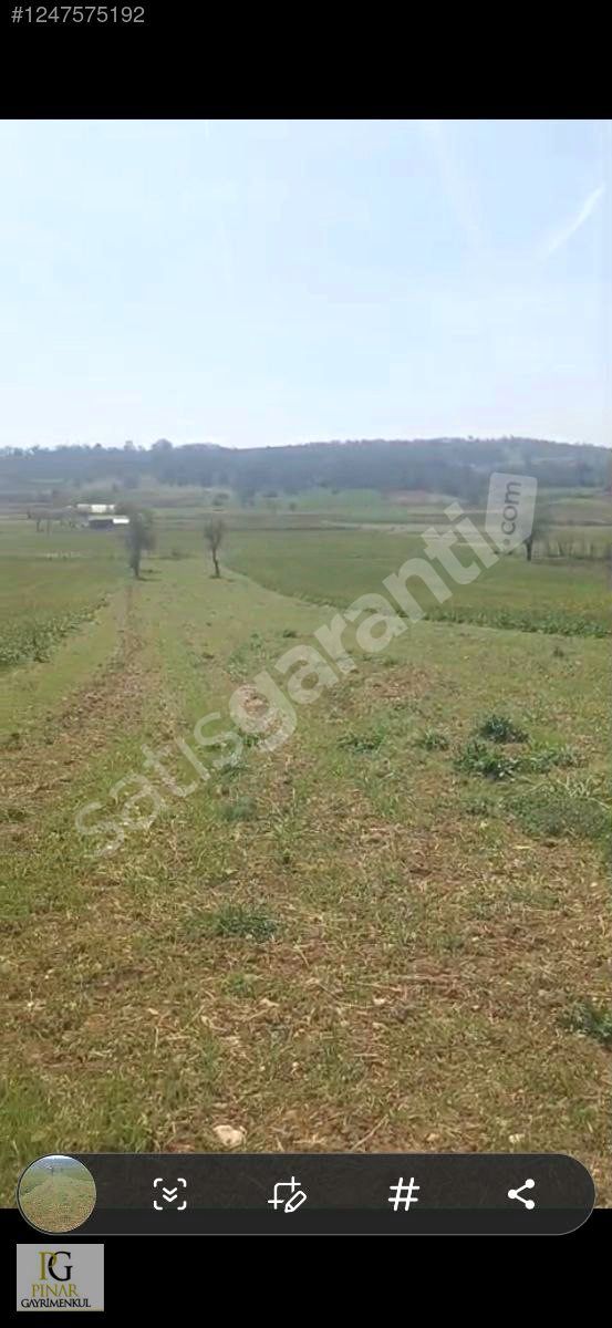 Bilecik Pazaryeri Ahmetler Çamlık Mevkin de Satılık Tarla