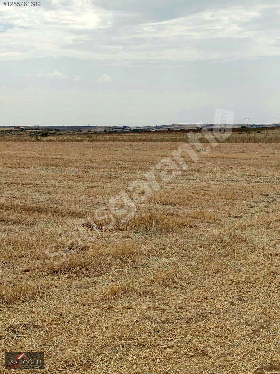 EDİRNE MERİÇ SUBAŞI BELDESİ 4193 M2 MÜSTAKİL TAPU FIRSAT TARLA