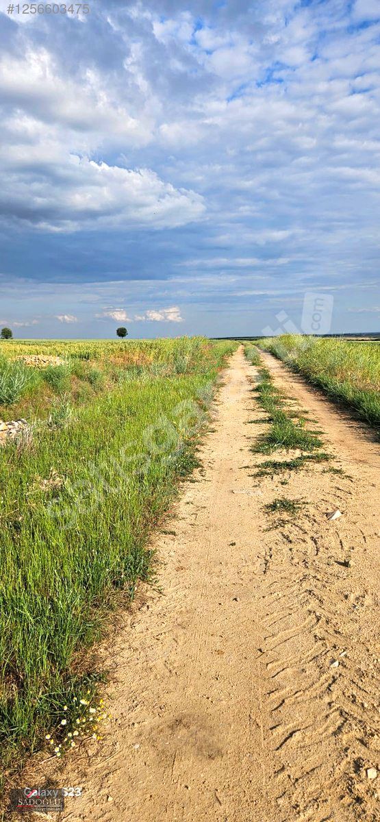 EDİRNE SÜLOĞLU TATARLAR KÖYÜNDE MÜSTAKİL TAPU 5384 M2 TARLA
