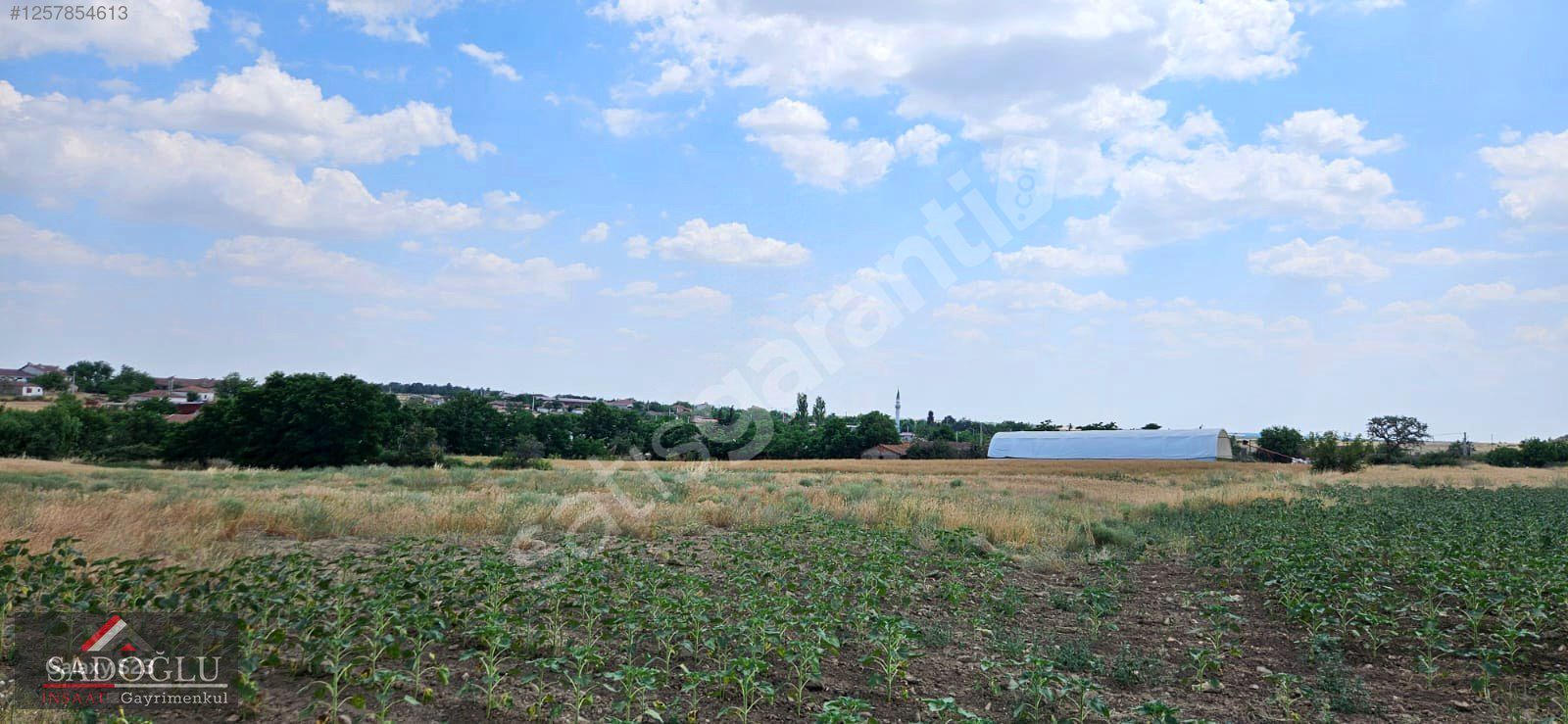 EDİRNE SÜLOĞLU TATARLAR KÖYÜNDE 909 M2 TEK TAPU ARSA