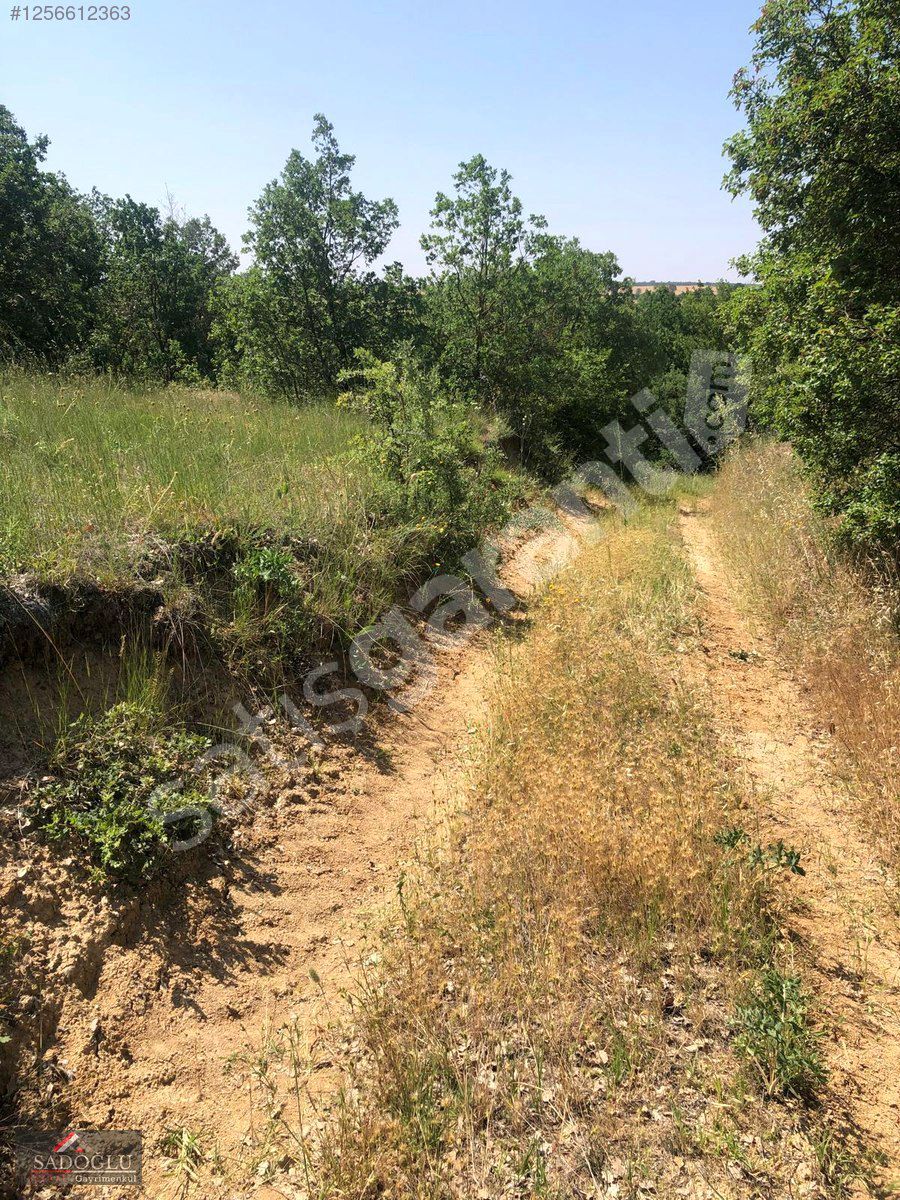 LÜLEBURGAZ HAMİTABAT KÖYÜNDE YOLA CEPHELİ 1.021 M2 TARLA