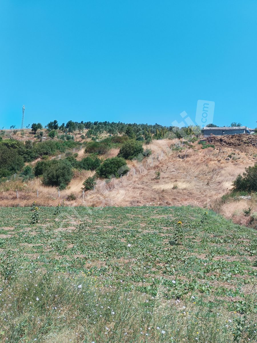 Bursa Karacabey Hayırlar Mhde villalık satılık arsa