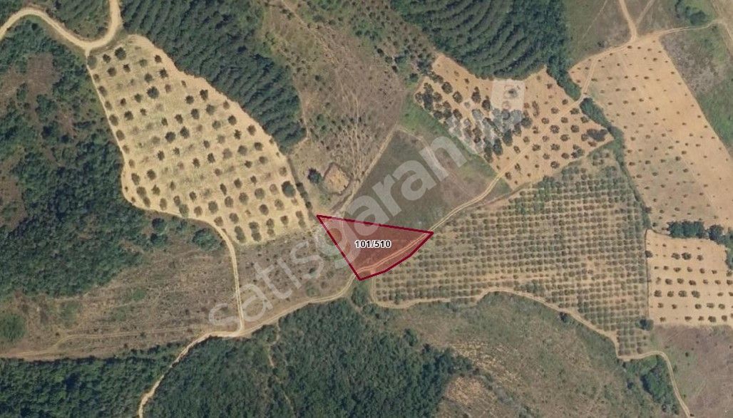 Bursa Mudanya Mirzaoba mhde satılık yatırımlık tarla