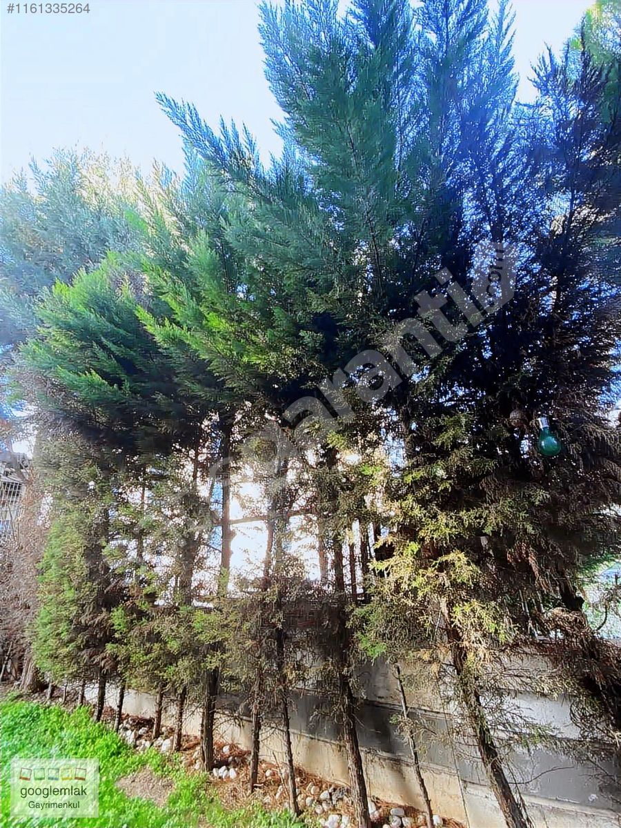 MENDERESTE ŞİRİN DAİRE