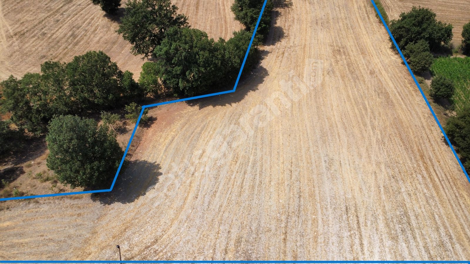 BİGA KAPANBELEN KÖYÜNDE 8250 m2 SATILIK TARLA HAN EMLAK'TAN