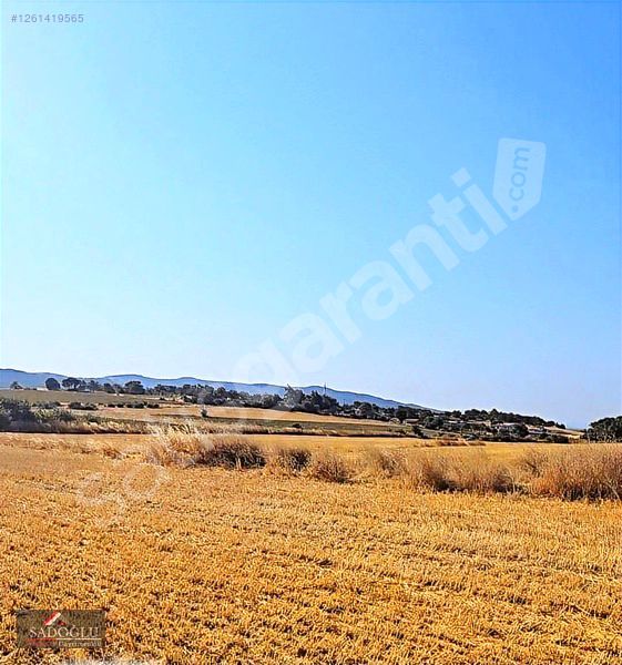 ENEZ SÜTCÜLER KÖYÜN'DE SATILIK 23.670 m2