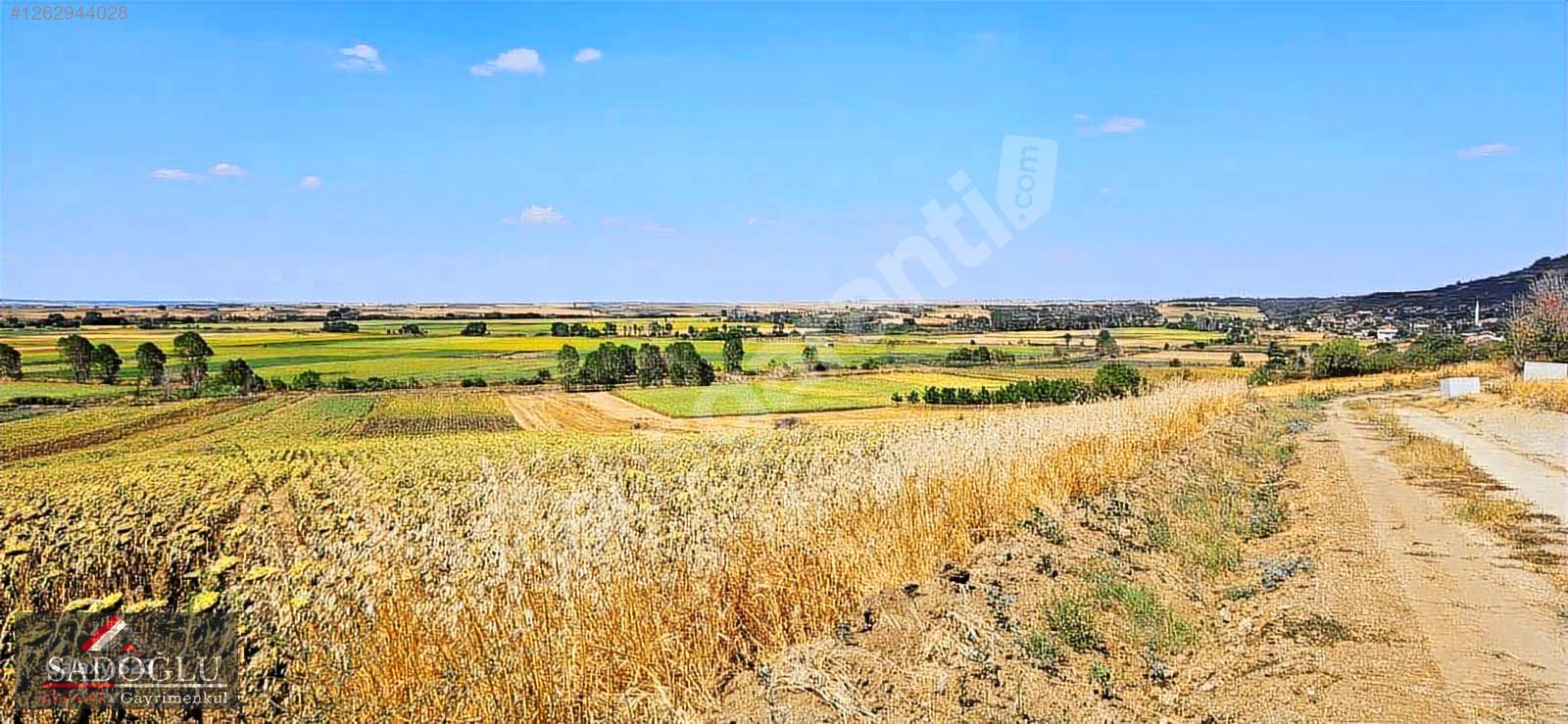 EDİRNE ALTINYAZI'DA KÖYE YÜREME MESAFESİ TEK TAPU 3759m2 TARLA